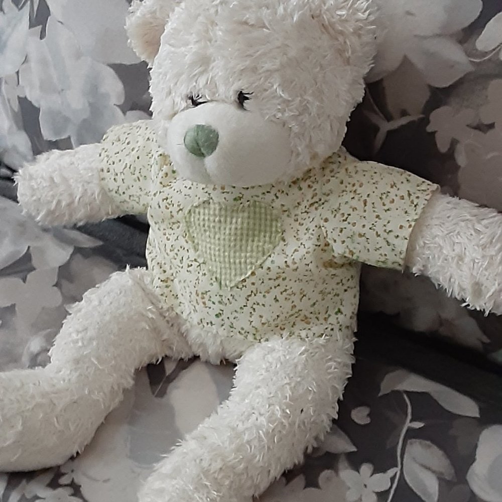 Soft & Fluffy loveable Teddy Bear with Heart T- shirt